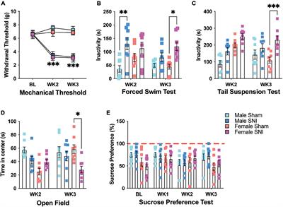 Characterizing Sex Differences in Depressive-Like Behavior and Glial Brain Cell Changes Following Peripheral Nerve Injury in Mice